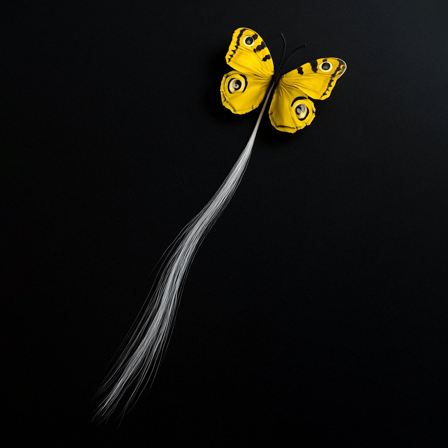 Led Butterfly Hair Braid Clip (Mix Color 1 Pc) Led Butterfly Hair Braid Clip (Mix Color 1 Pc)
